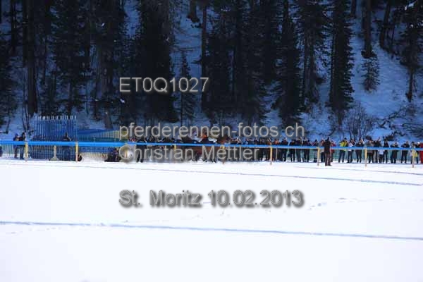 ET0Q1027 prot